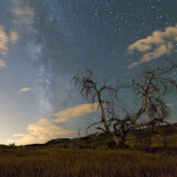 Astronomy & Skygazing - Globular Clusters Profile Photo