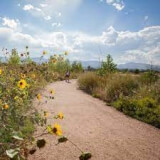 Park Planning - Strategic Trail Plan with Rachel Eich Profile Photo