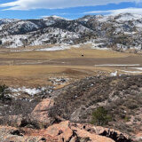 Winter Tracks and Animal Adaptations Profile Photo