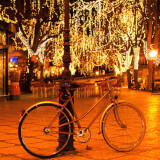 Light Up the Night - Bike Light Giveaway Profile Photo