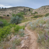 RESCHEDULED: Open House for the Cycling Community: Foothills Management Plan Update Profile Photo