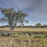 Puente Verde Natural Area Profile Photo